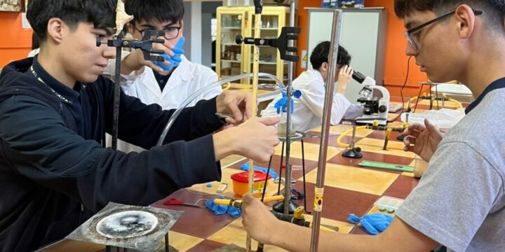 Trabajo en Ciencias
