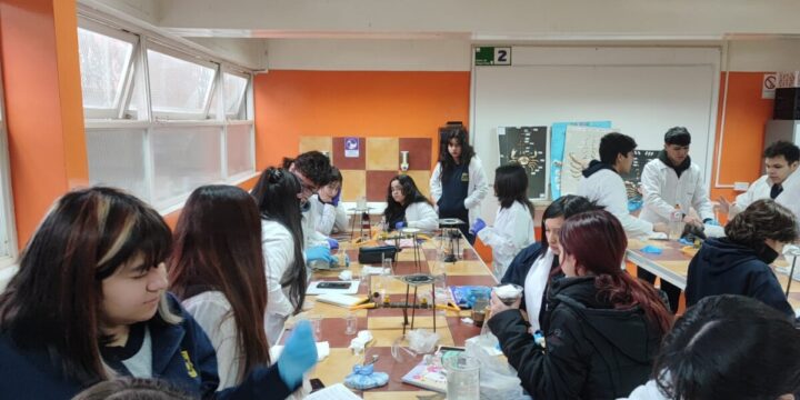 Trabajo Taller de Ciencias