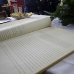 _MG_9567 de tamaño grande